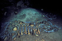 Mayan human and animal skulls and bones, possibly result of human sacrifice to the gods that the Maya culture made and then threw in cenote, pre-Hispanic era, Punta Laguna Cenote, Yucatan peninsula, M...