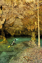 Divers at the surface looking to the scenery before diving in the Cenote Pet Cemetary, Yucatan Peninsula, Mexico