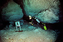 Diver in the cenote in front of a warning information board, Cenote Chac Mool, Yucatan Peninsula, Mexico.  It is estimated that only 10% of the cenotes have been explored and the remaining 90% is sti...