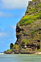 Toarutu cliff on the east coast of Rurutu Island, Australs Archipelago, French Polynesia