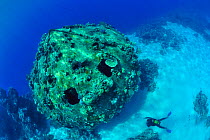 Diver near the remains of Precontinent 2 in Shaab Rumi, an experimental underwater village built by Jacques-Yves Cousteau and the Calypso team in 1963, Sudan, Red Sea