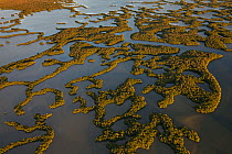 Mangove Islands, aerial shot, Ten Thousand Islands, Everglades National Park, Florida, USA, January 2015.