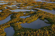 Mangove Islands, aerial shot, Ten Thousand Islands, Everglades National Park, Florida, USA, January 2015.