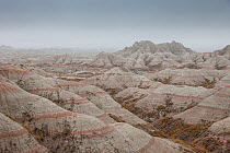 Eroded landscape, Sandstone striations and erosional features, in mist, Badlands National Park, South Dakota, USA September 2014.