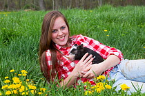 Young woman holding piglet in dandelions and spring grass in pasture, Smithfield, Rhode Island, USA. Model released.