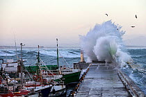 Kalk Bay Habour during a storm, Cape Town, South Africa, April 2015
