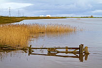 Steart Marshes, WWT reserve, flooded at high tide, with Hinkley point nuclear power station in background, Somerset, UK, April 2016.