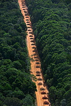 Dirt road running  through tropical rainforest, Guyana South America