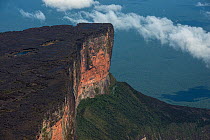 Mount Roraima tepui (flat top mountain) is the highest of the Pakaraima chain of Tepuis plateaus in South America, Pakarajma Mountains, near Phillipai, West Guyana, South America