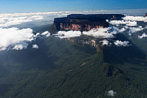 Mount Roraima is the highest of the Pakaraima chain of Tepuis plateaus in South America, Pakarajma Mountains, near Phillipai, West Guyana, South America