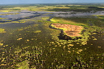 Wetlands of Abari Swamps, Mahaica Miconi Abari, Guyana South America