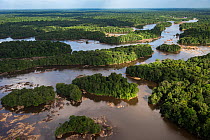 Aerial view of Essequibo river, Guyana, South America