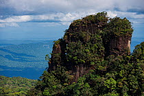 Tepui, flat top mountain, in Kupinang, Potaro-Siparuni region, Brazil Guyana border, Guyana, South America