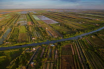 Aerial view of mixed agriculture fields of East Demerara Conservancy, east of Georgetown, Guyana, South America