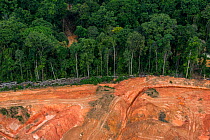 Aerial view of gold mining on edge of tropical rainforest, Arimu, Guyana, South America