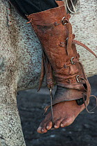 Amerindian cowboy detail of foot and traditional footwear,  Rurununi savanna, Guyana, South America