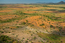 Aerial view of Rupununi savanna, Guyana, South America