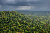 Rain storm over rainforest, Essequibo river region 9, Iwokrama, Rupununi, Guyana, South America
