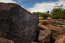Ancient petroglyphs on rock boulder by Essequibo river, Iwokrama Reserve, Guyana, South America