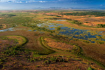 Aerial view of flooded Rupununi savanna, Guyana, South America