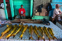 Catfish, various species, for sale at market in Georgetown, Guyana, South America