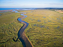 RF - Stonemeal Creek running through saltmarsh between Wells and Stiffkey on Holkham National Nature Reserve. North Norfolk, England, UK. August 2015. (This image may be licensed either as rights mana...