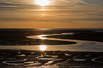 RF - Autumn sunset over the Wash at Snettisham as tide comes in. Norfolk, England, UK. September 2015. (This image may be licensed either as rights managed or royalty free.)