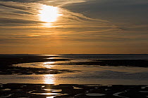 RF - Autumn sunset over the Wash at Snettisham as tide comes in. Norfolk, England, UK. September 2015. (This image may be licensed either as rights managed or royalty free.)