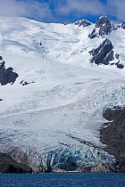RF - Schrader Glacier in Wilson Harbour, South Georgia. January 2015. (This image may be licensed either as rights managed or royalty free.)