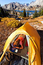 Camper reading inside tent above Island Lake, Wind River Range, Bridger Wilderness, Bridger National Forest, Wyoming, USA. September 2015. Model released.