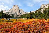 Cathedral Peak in Popo Agie Wilderness, Wind River Range, Shoshone National Forest, Wyoming, USA. September 2015.