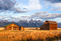 Teton range and barns on Thomas Murphy Homestead, Grand Teton National Park, Wyoming, USA. September 2015.