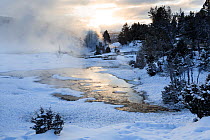 Sunrise on Upper Terraces of Mammoth Hot Springs, Yellowstone National Park, Wyoming, USA. January 2016.