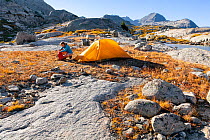 Campsite at Titcomb Basin, Wind River Range, Bridger Wilderness, Bridger National Forest, Wyoming, USA.September 2015. Model released.
