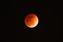 Lunar eclipse as seen from Muscat, Oman, December