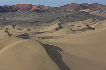Nazca coastal desert with sand dunes, San Fernando Reserve, Peru, November 2013