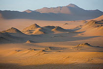 Nazca coastal desert landscape, Paracas National Reserve, Peru, October 2013