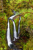 Triple Falls in Columbia River Gorge National Scenic Area, Oregon, USA. April 2016.