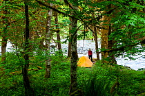 Woman camping on Enchanted Valley trail on Quinault River, Washington, USA. May 2016. Model released.