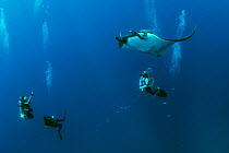 Giant manta ray (Manta birostris) with scuba divers below, El Boiler dive place, San Benedicto Island, Revillagigedo Archipelago Biosphere Reserve, Socorro Islands, Western Mexico