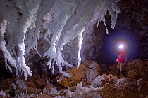 Giant crystal formations of selenite hang in the crystal chamber of lechuguilla cave in New Mexico, USA. The caves have been found to be partly formed by the activities of extremophile bacteria that l...