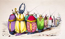 Lithograph comparing beetles to high ranking church members in bright robes. Published in 1842, Paris for 'Scenes de la vie privee et publique des animaux' by Jean Ignace Isidore Gerard