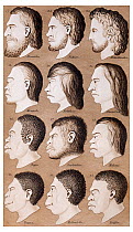Historical illustration of humans from Naturliche Schopfungsgeschichte (2nd edition) by Ernst Haeckel, 1870. Haekel was a leading proponent of what is now described as scientific racism and believed i...