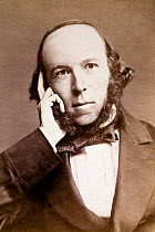 Sepia photograph of Herbert Spencer (1820-1903), English philosopher, 1860s. Spencer was a journalist who published his best known work Principals of Psychology in which he applied Darwin's ideas on e...