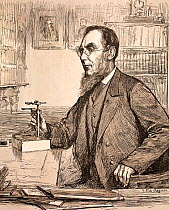 Illustration of Sir Joseph Hooker (1817-1912)  English botanist in middle age.