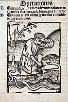 1491 Woodblock illustration of a from Ortus (Hortus) sanitatis - man taking a cure for snake bite. Hortus Sanitatis translates from the Latin as 'Garden of Health'. The Hortus was the first printed na...