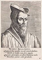 Portrait of Pierre Belon (1517-1564) renaissance French explorer, naturalist, writer and diplomat. He worked on a range of topics including ichthyology, ornithology, botany, comparative anatomy, archi...
