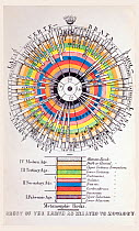 The history of life, proposed by  Swiss-American naturalist Louis Agassiz. Agassiz would disagree strongly with Darwin's theory of evolution. This diagram from 1855 shows how he understood biological...