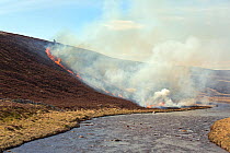 Heathr burning on Deeside, Scotland as part of Grouse Moor management.