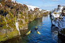 Scuba diver inside the volcanic crack Nesgja, in the Asbyrgi National Park, northern Iceland